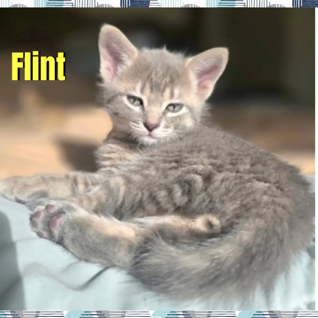 Flint