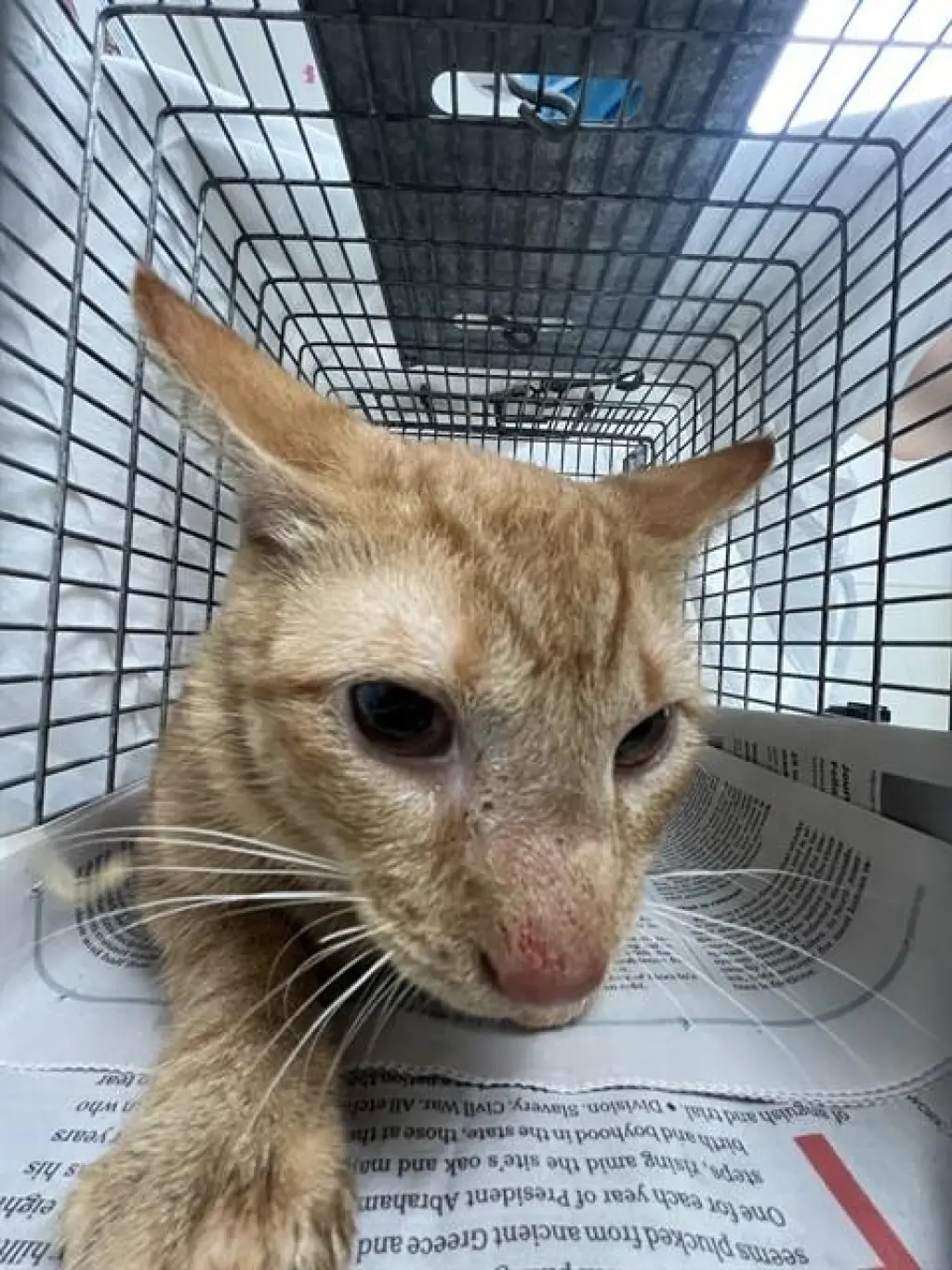 JUPITER
