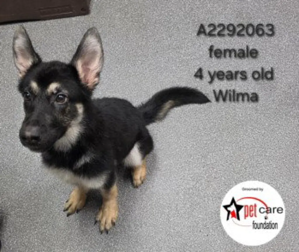 WILMA