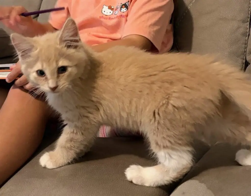 TATER