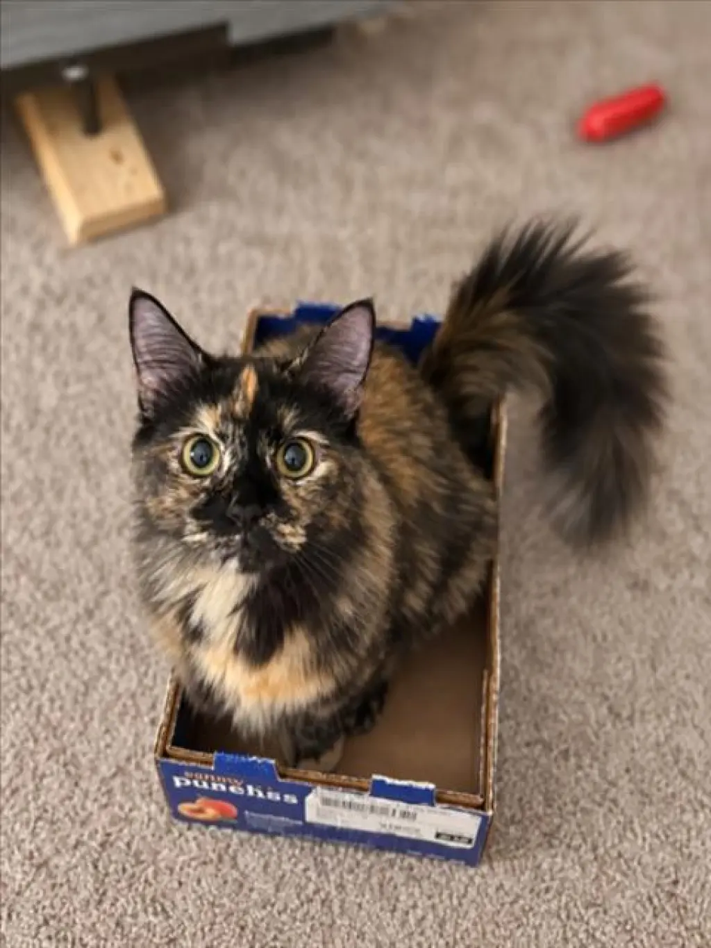 LUNA