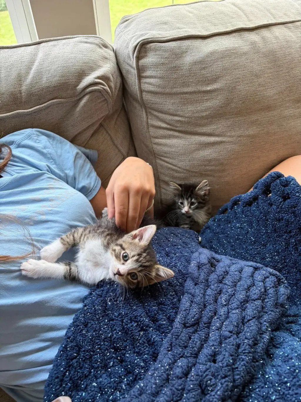 Pip