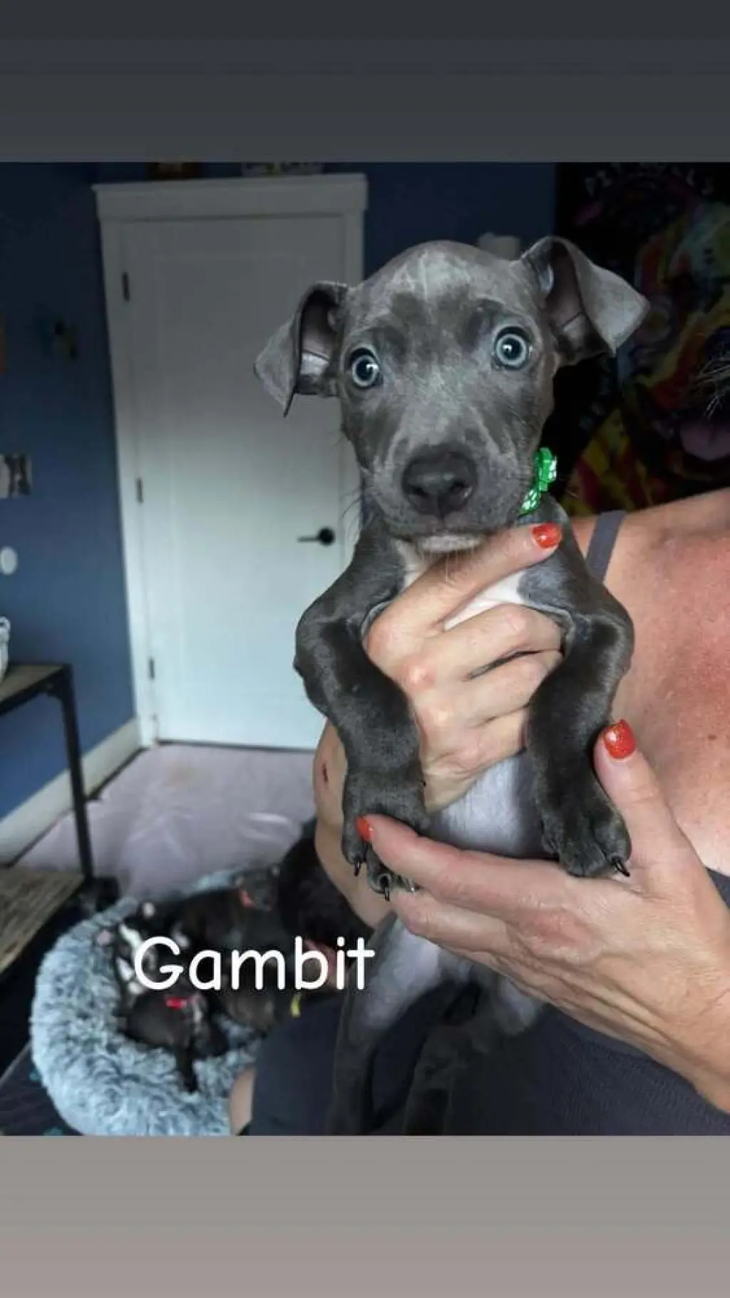 Gambit (Marvel 7)