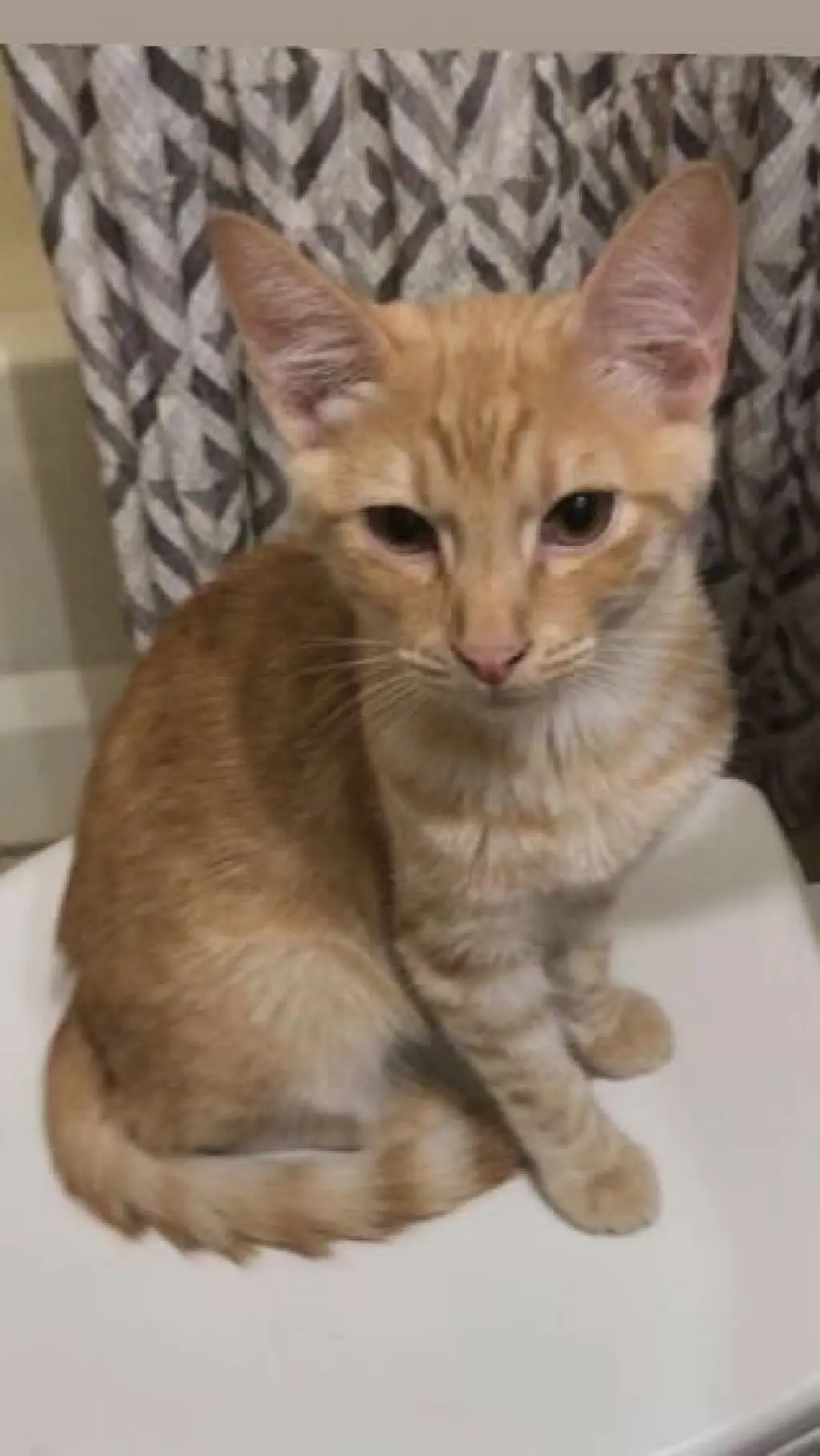Oliver