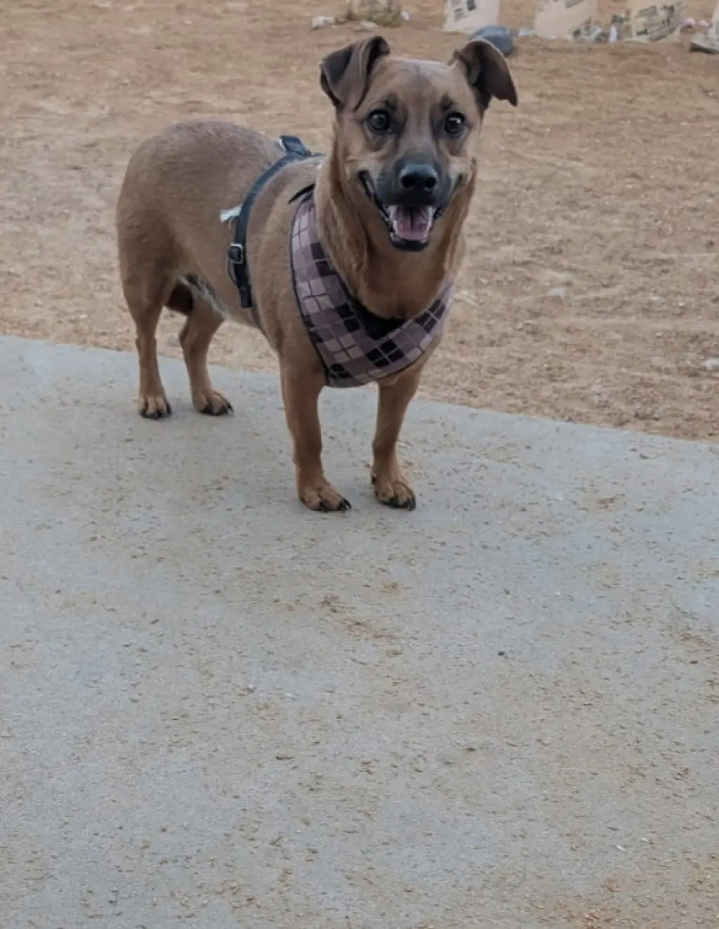 OTI