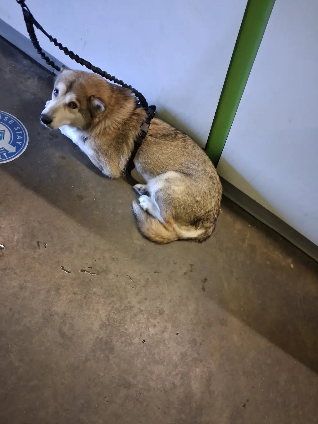 NALA