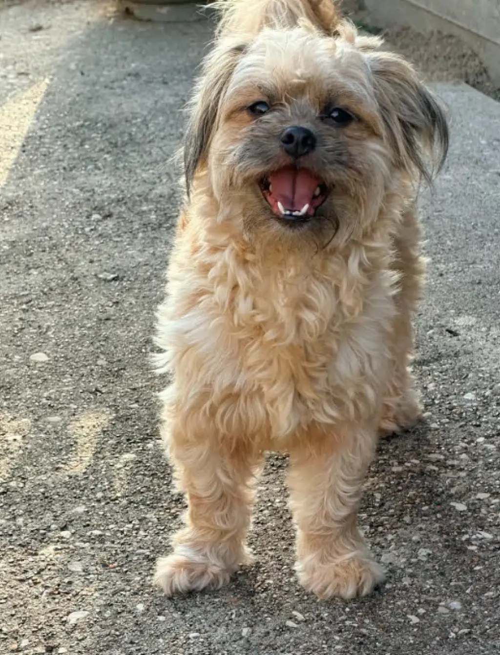 Maripily in TX
