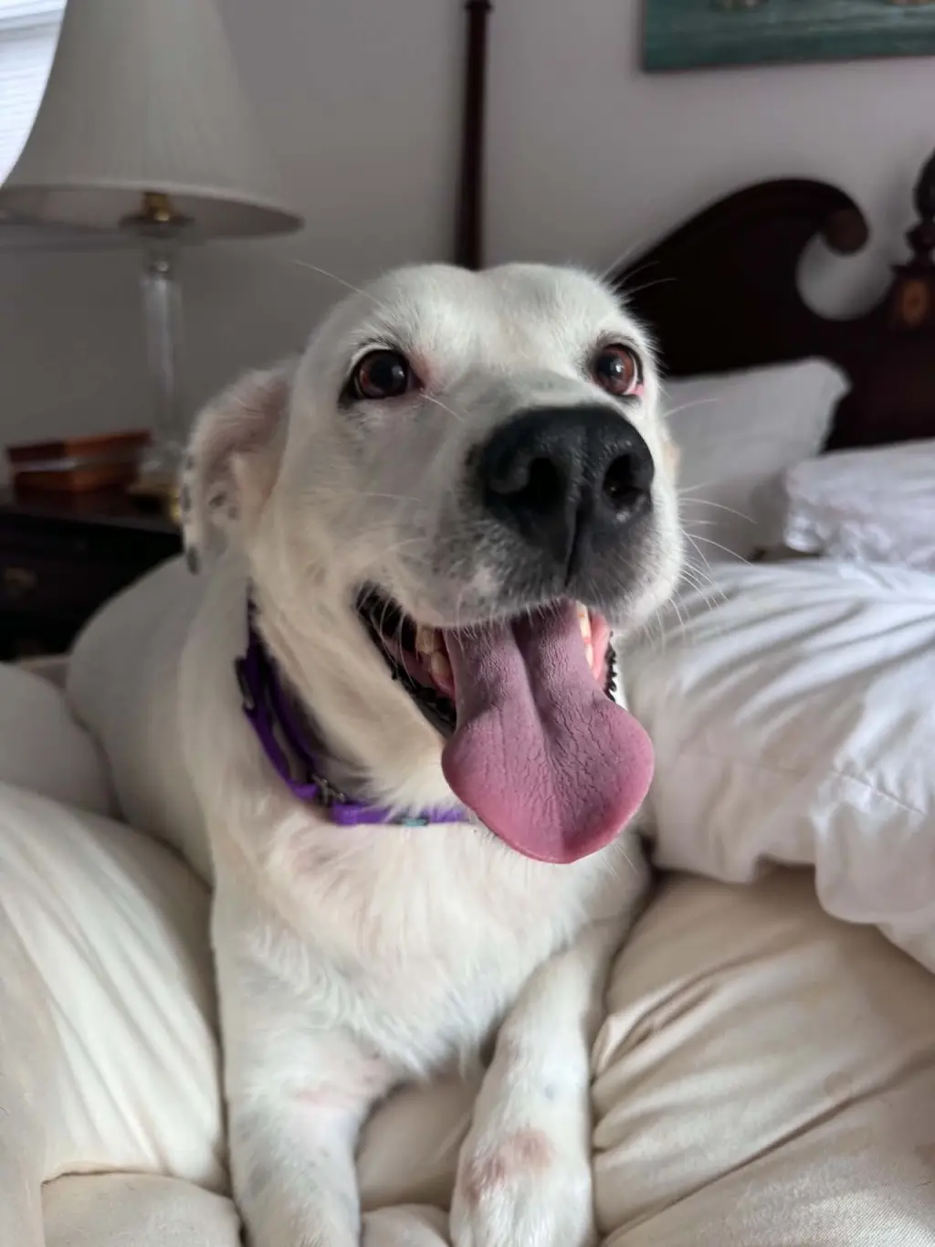 Sadie