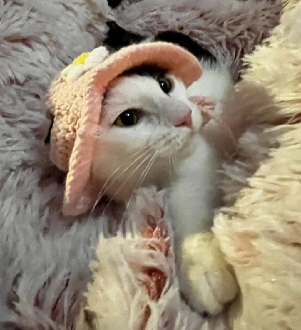 Esther