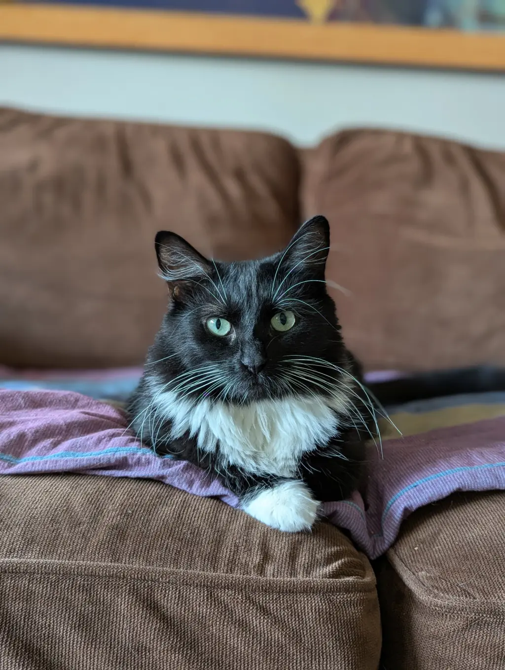 Powerpuff (Tiny but mighty)
