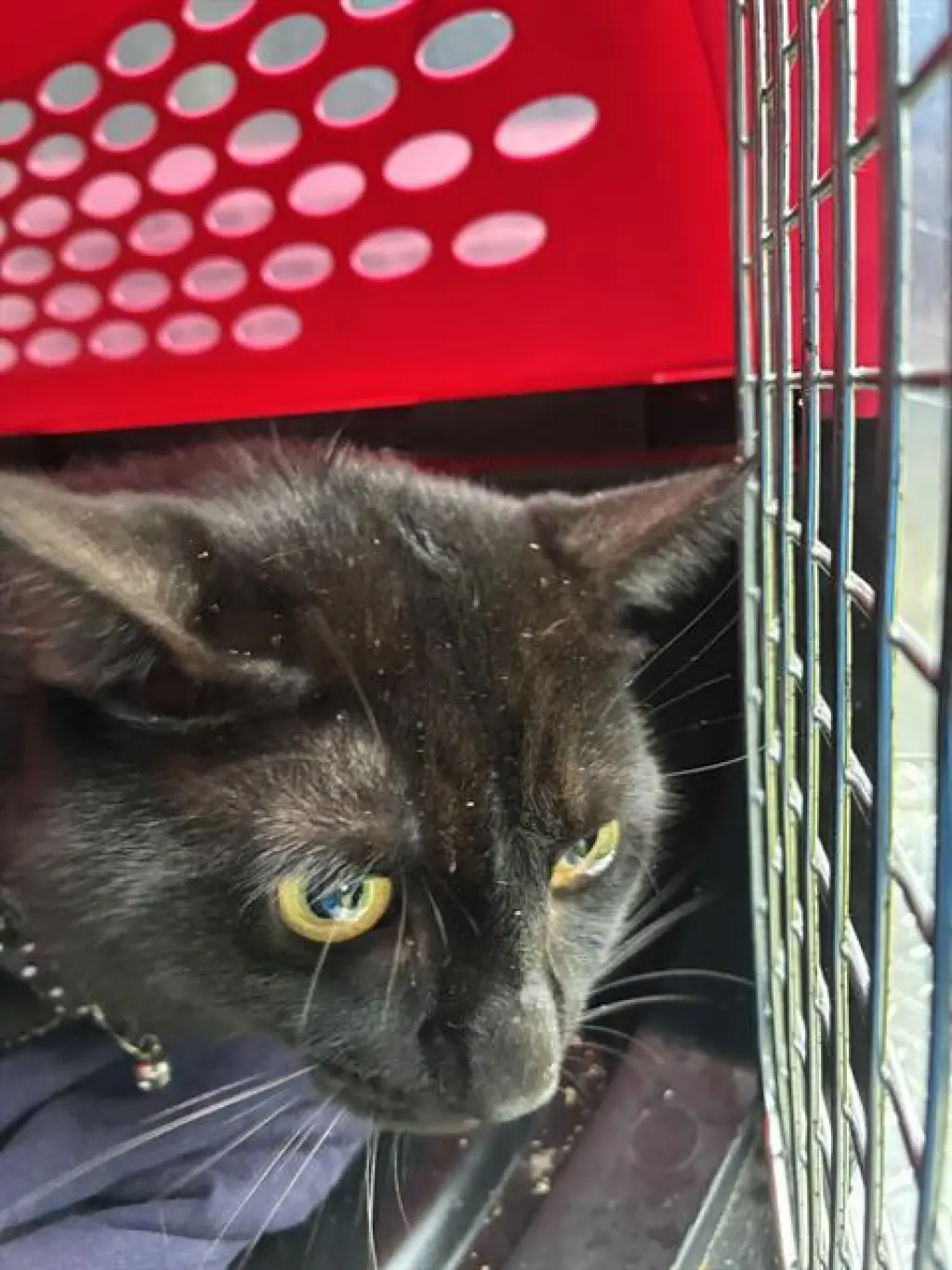 SALEM