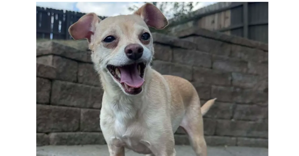 Marley aka (Thunder)~