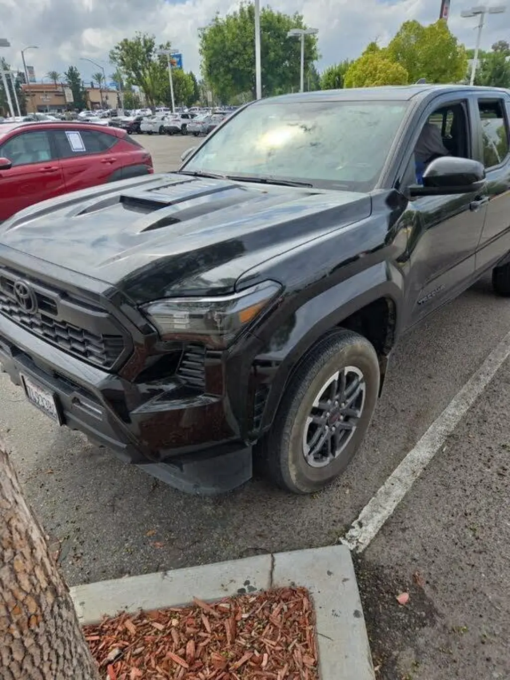 Toyota Tacoma 2024 4x2 TRD Sport 4dr Double Cab 5.0 ft SB