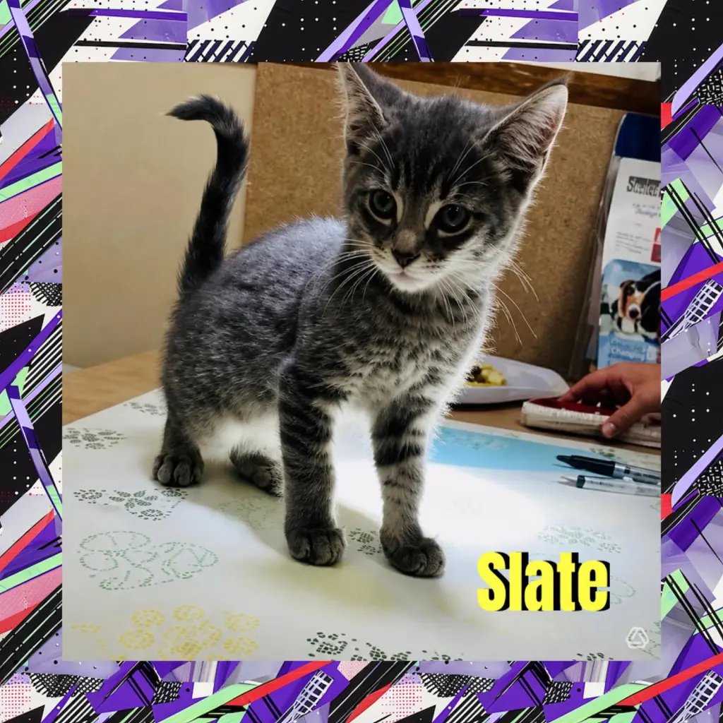 Slate