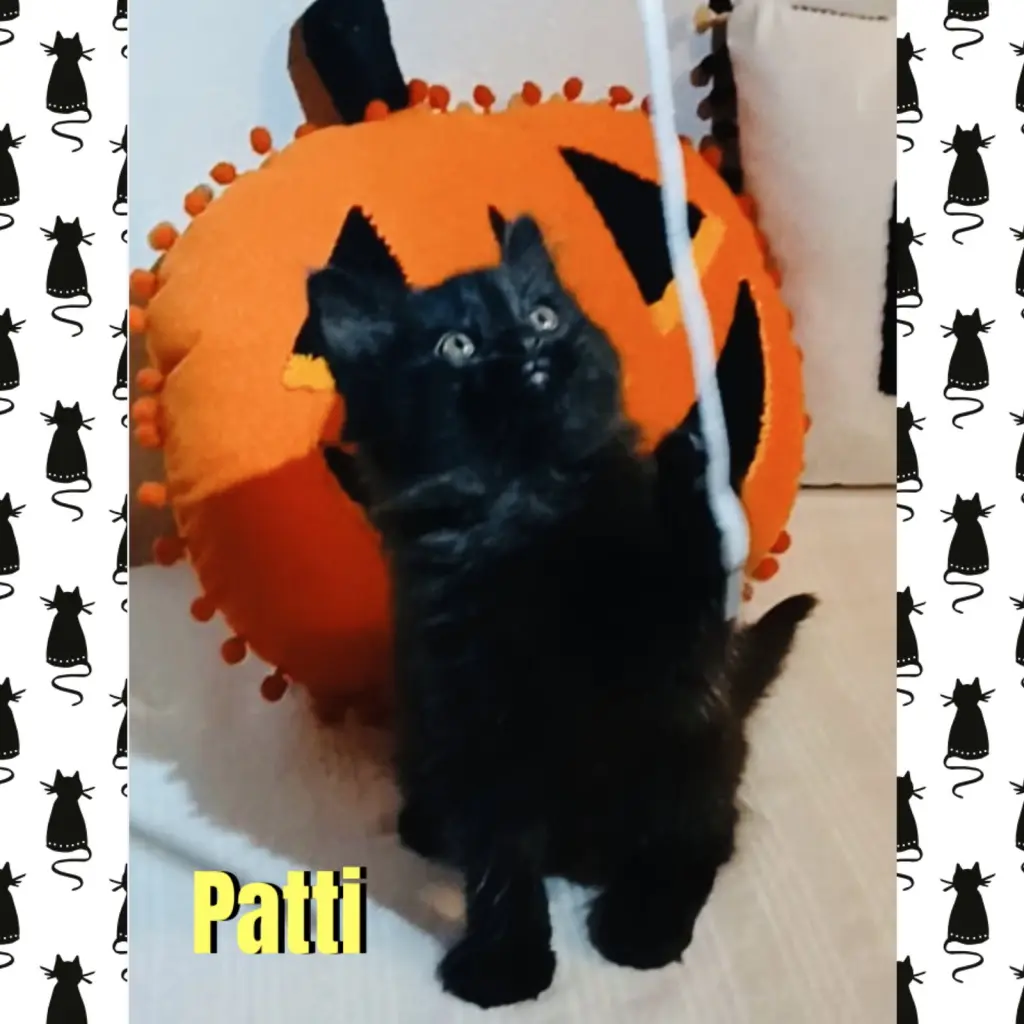 Patti
