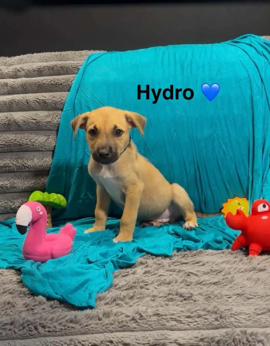 Hydro