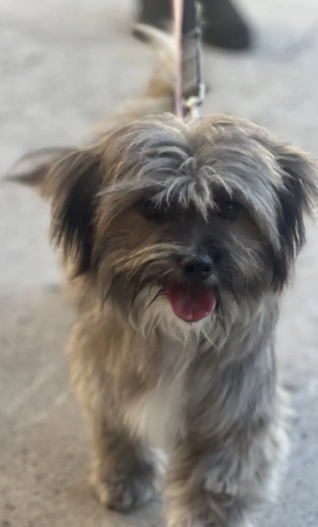 Jax