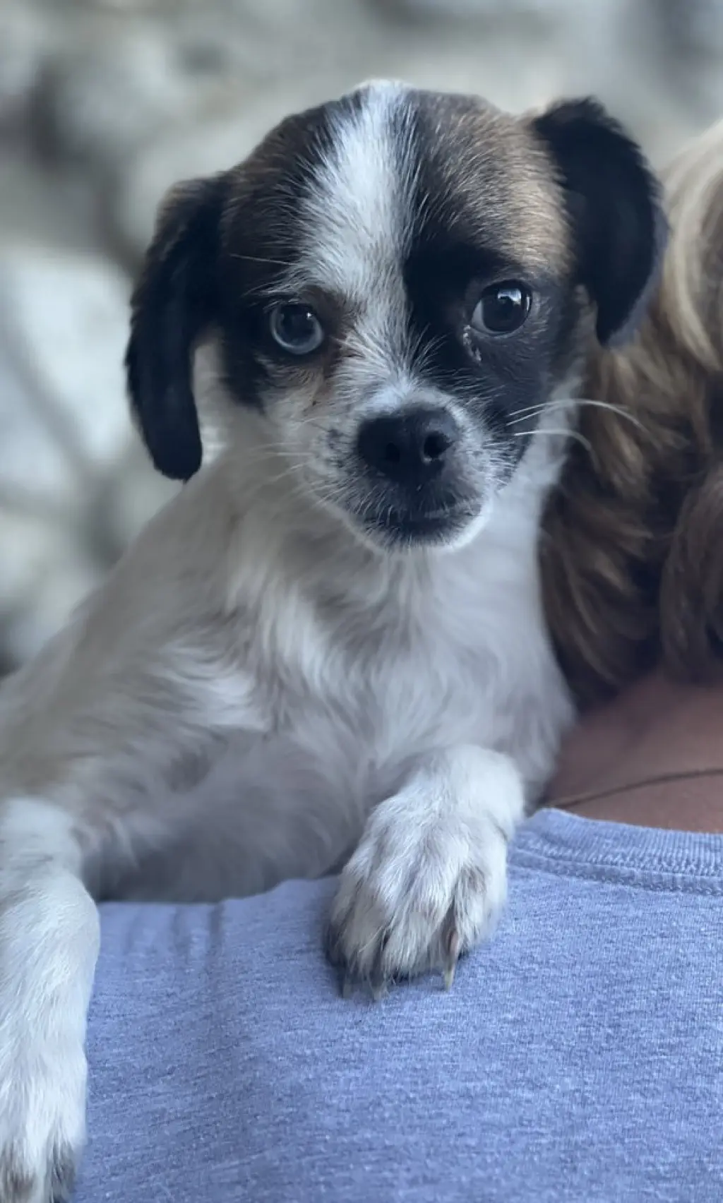 Buster