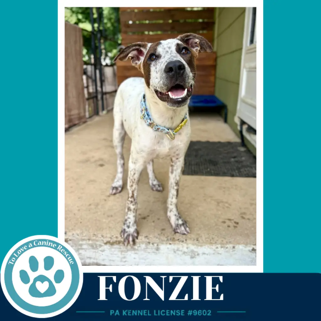 Fonzie (Speckled Six) 091226