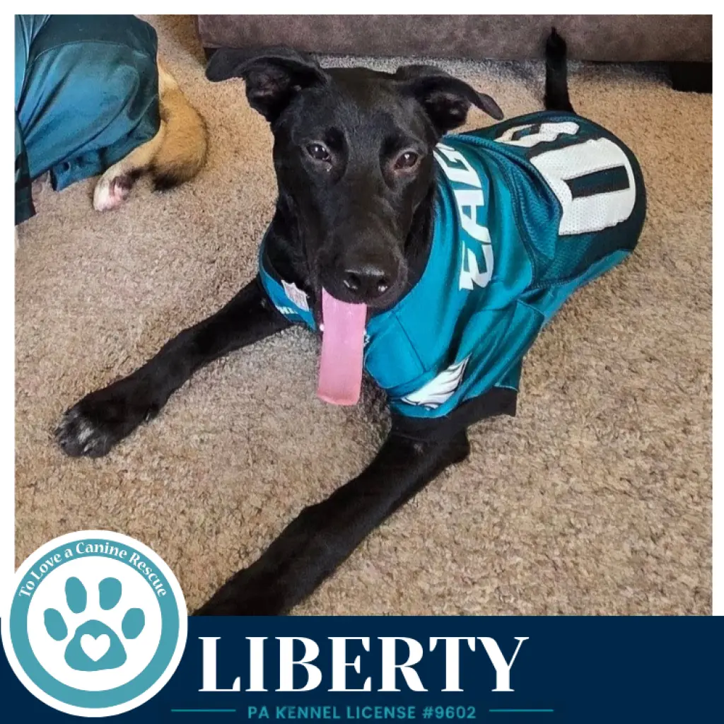 Liberty 091226