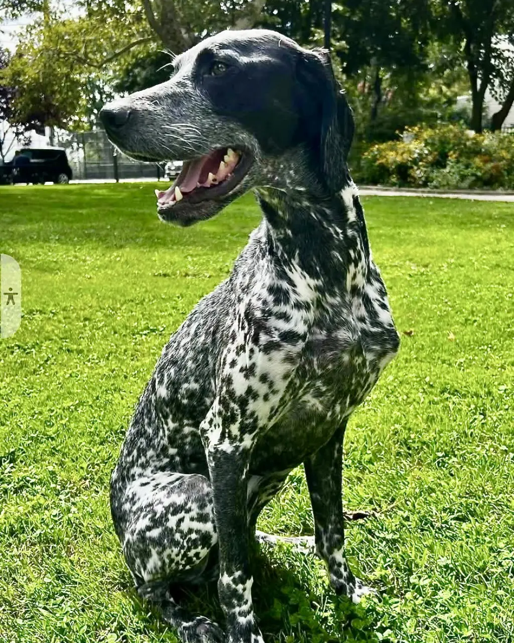 Tux