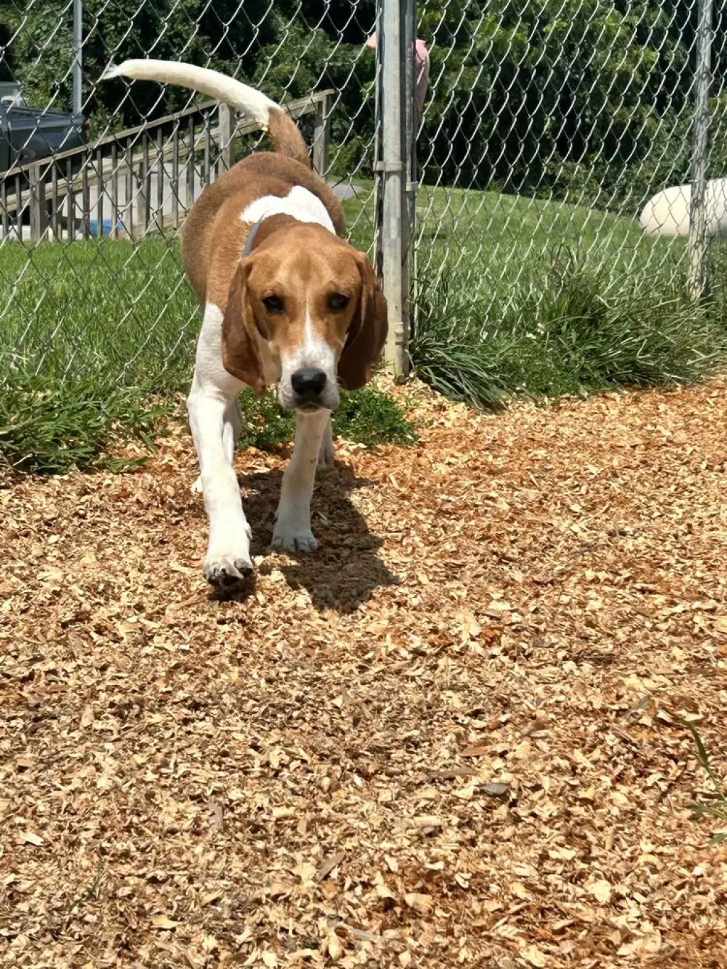 Benny