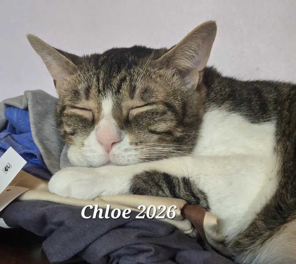 Chloe