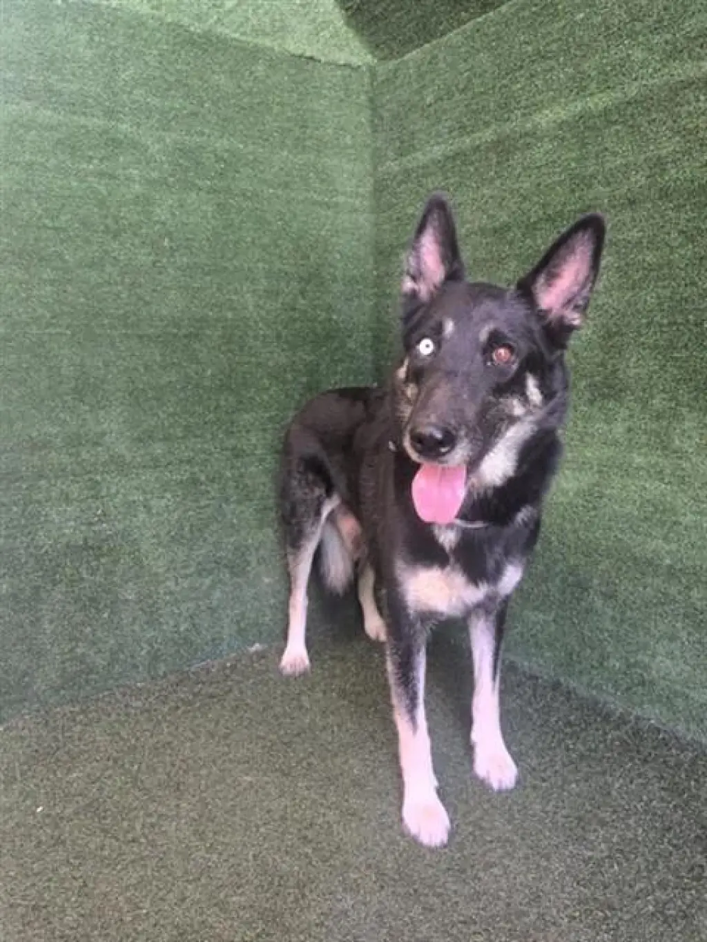 LUNA