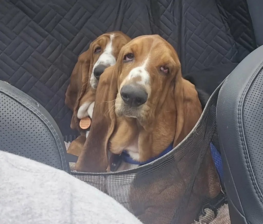 Maggie and Willow