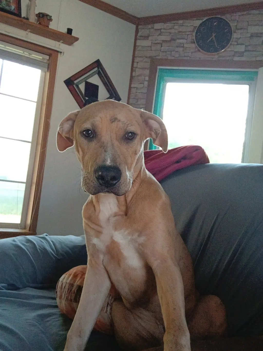 Cooper