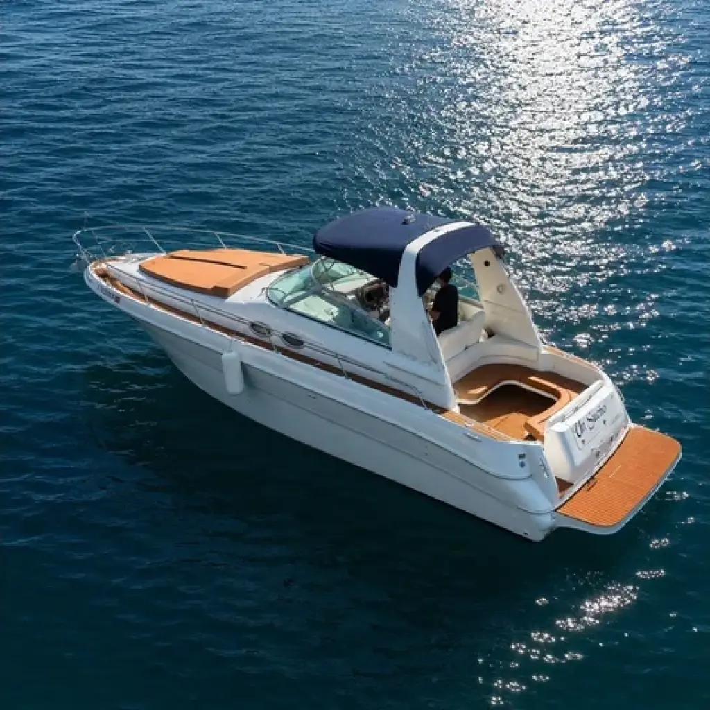 Se Vende Hermoso Sea Ray 310