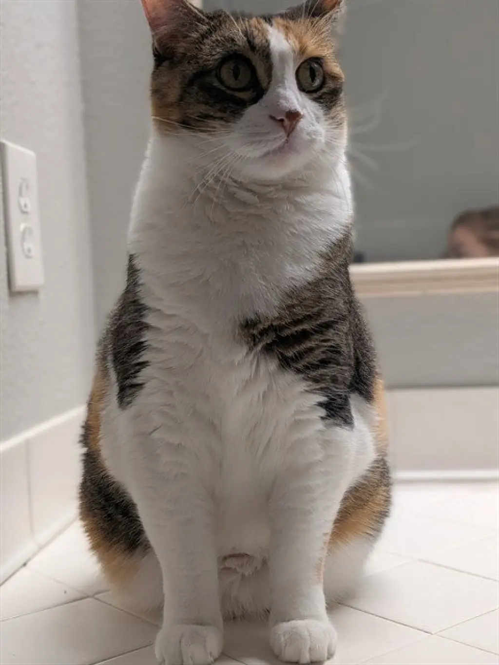 KIKI