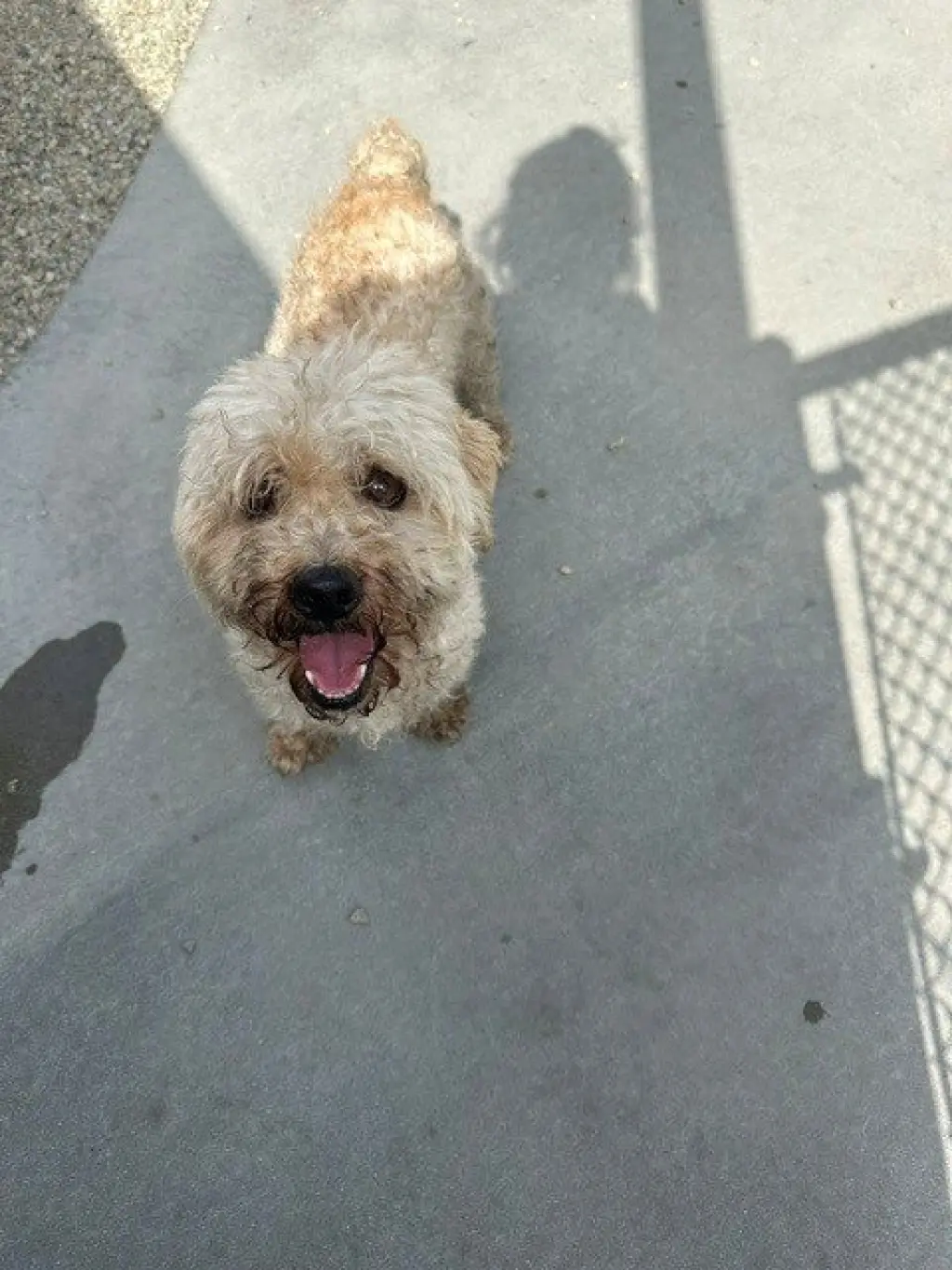FINNEGAN