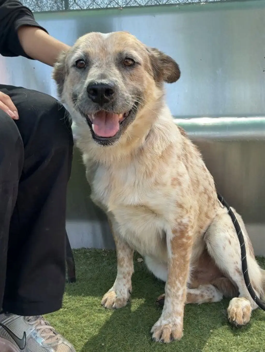 COSMO