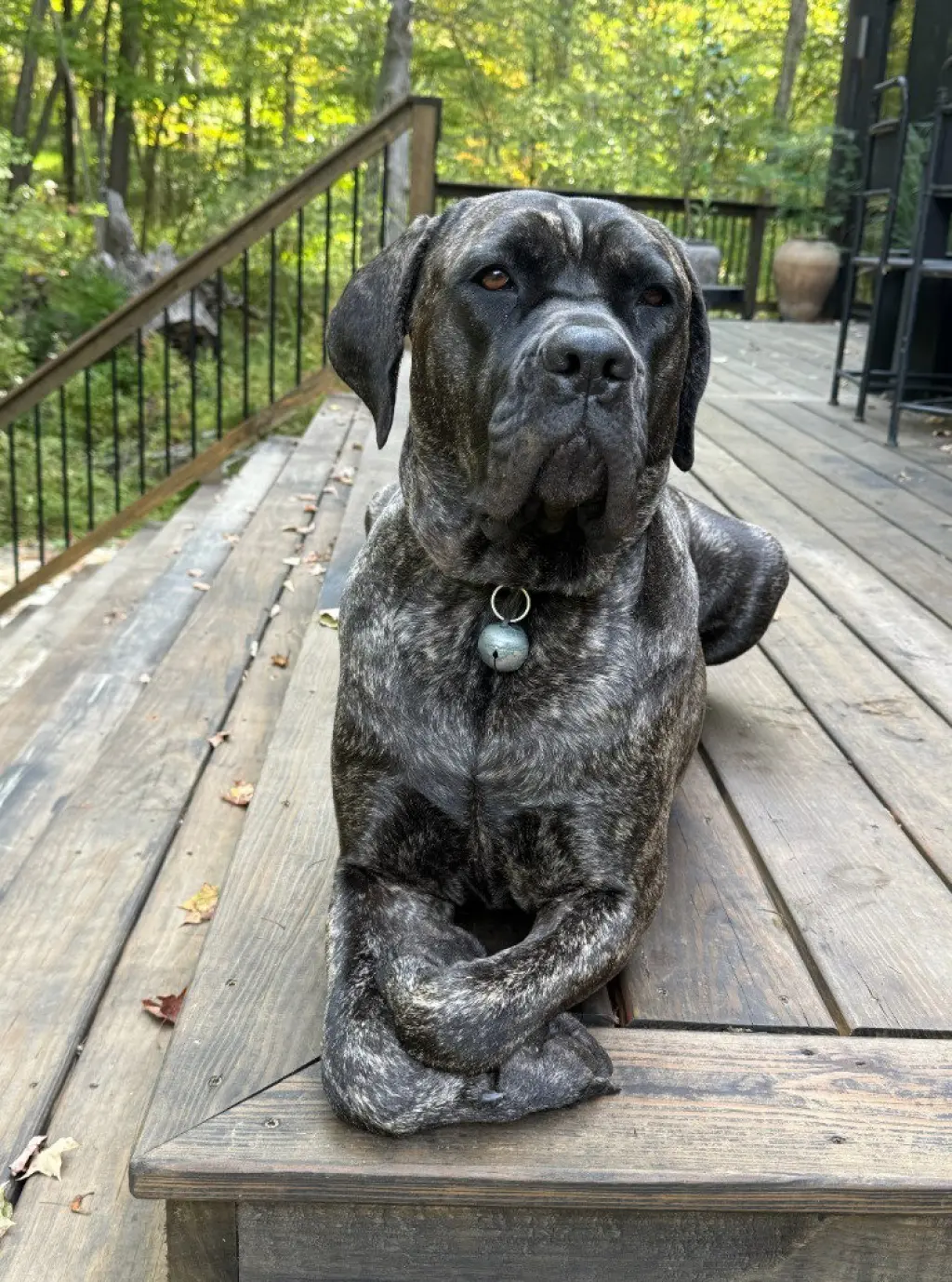 Penny