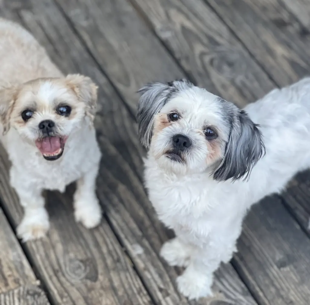 Benson and Bailey