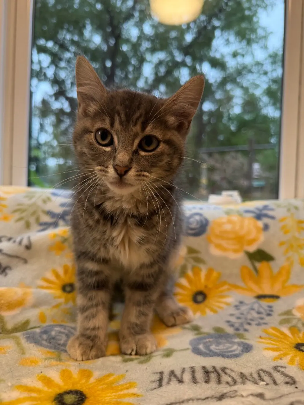 Gary * IN FOSTER *