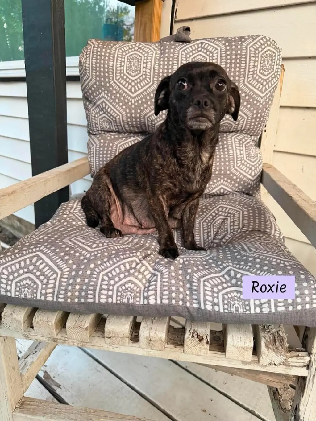 Roxie (Momma)