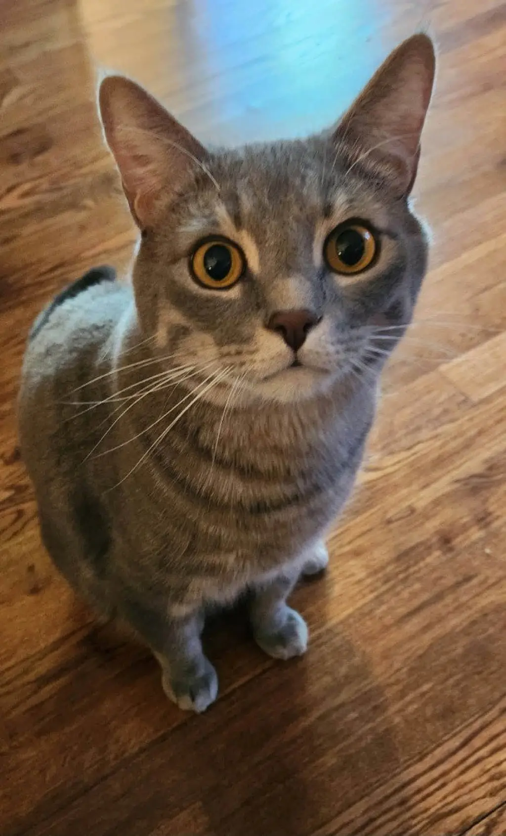 Max
