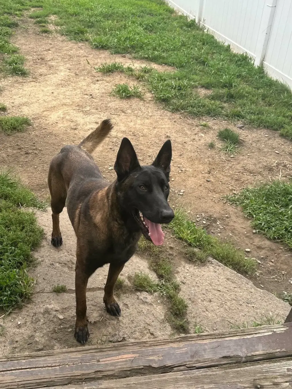 Xander - Located in New Jersey