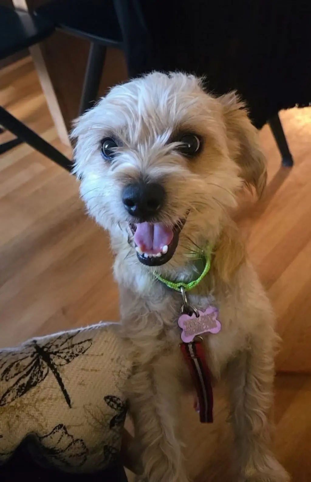 Milo