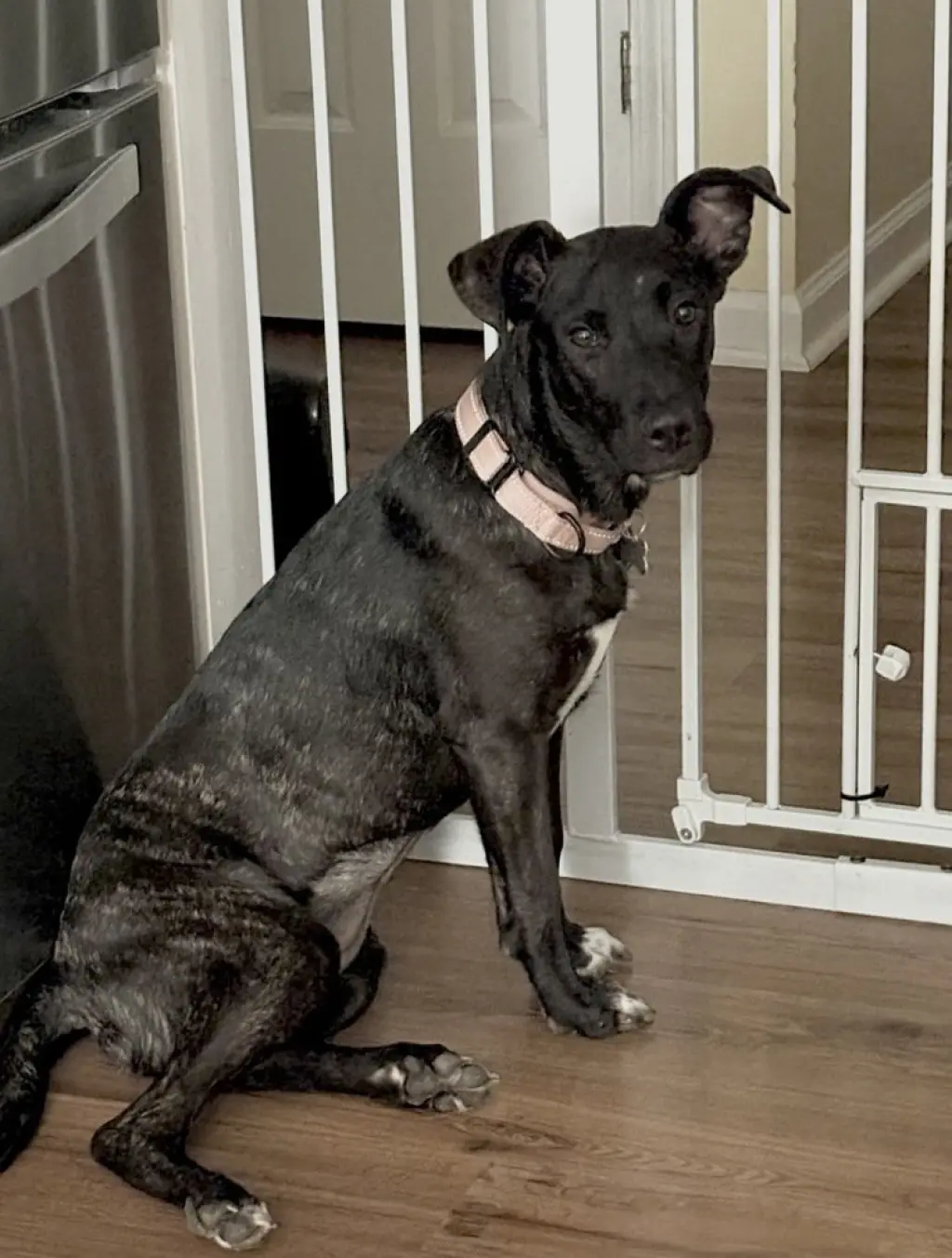 Delilah