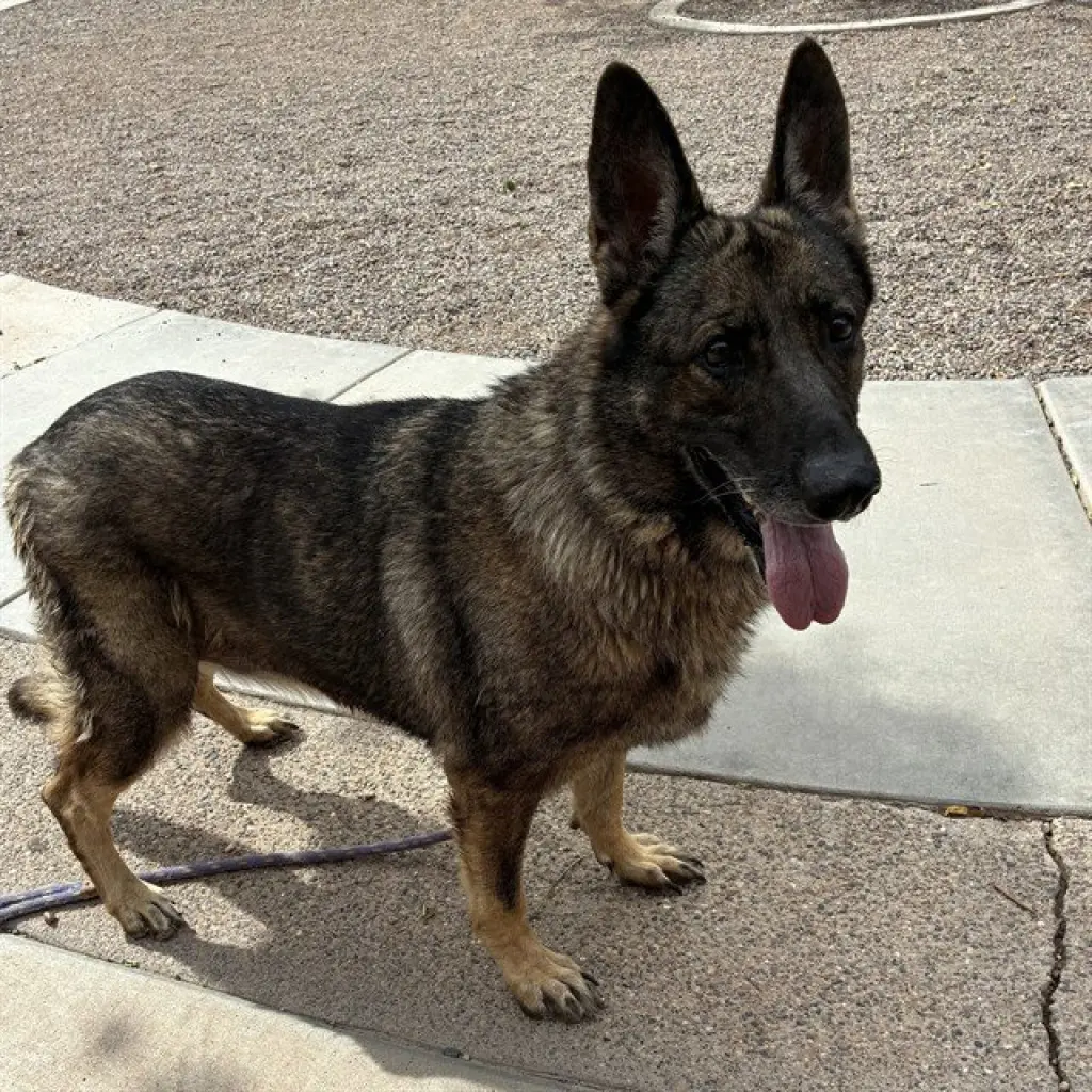 REX