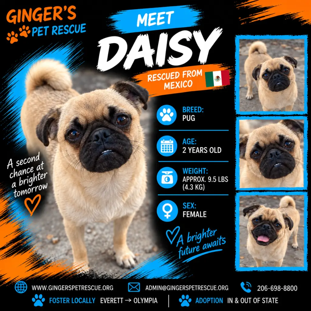 Daisy from Mexico