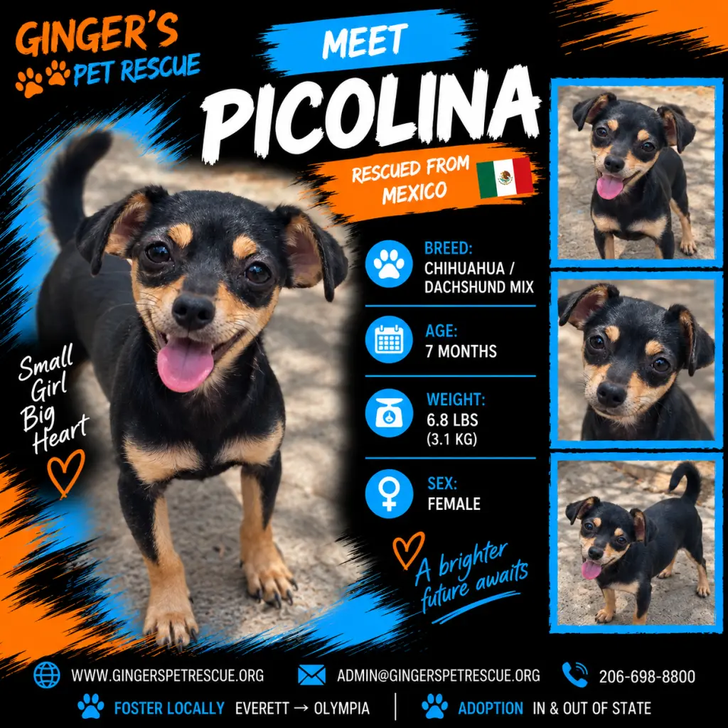 Picolina from Mexico