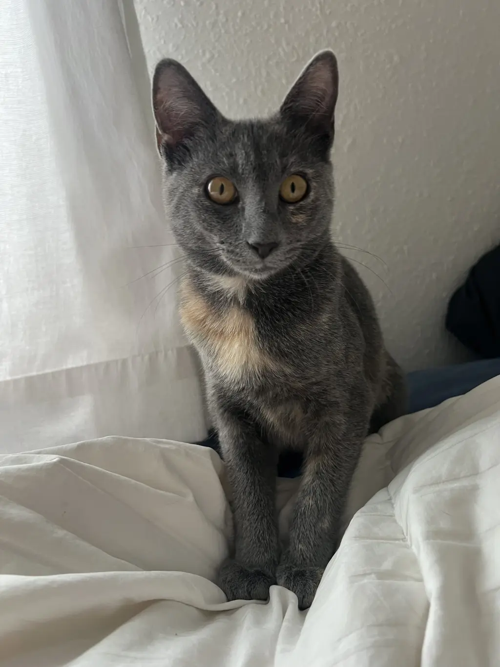 Smidge =^.^=