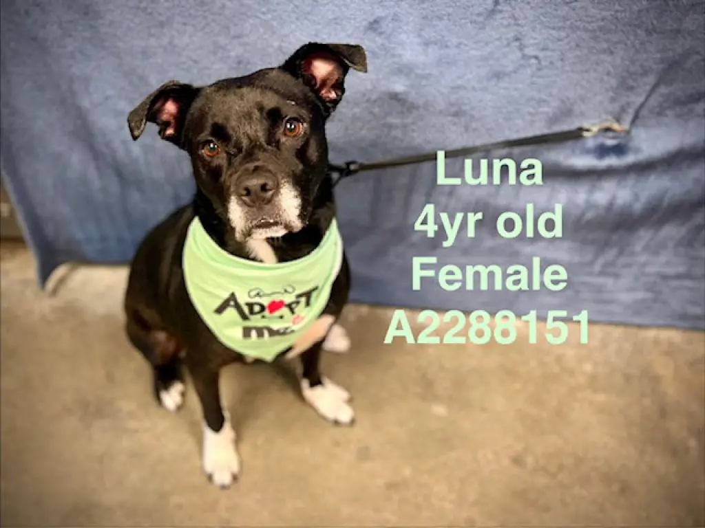 LUNA