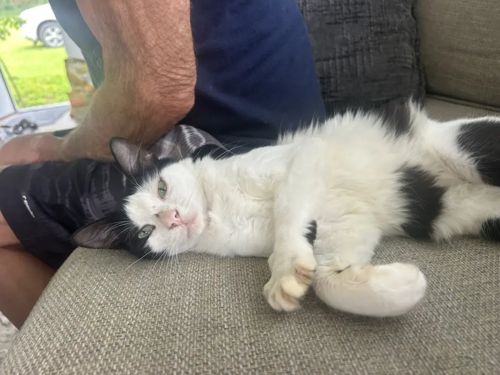 Bucky Napa