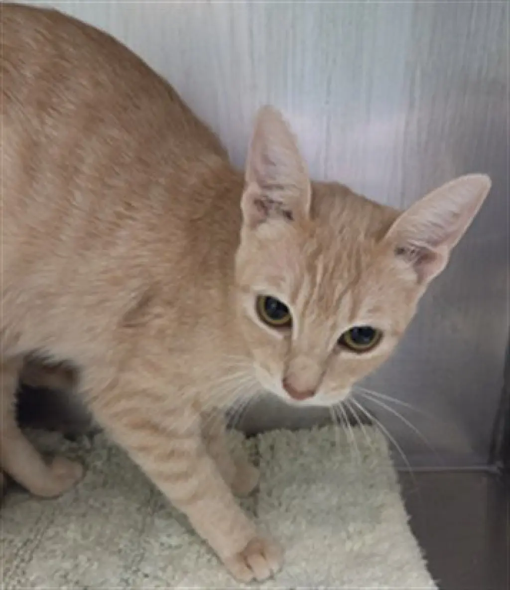 *WINTER