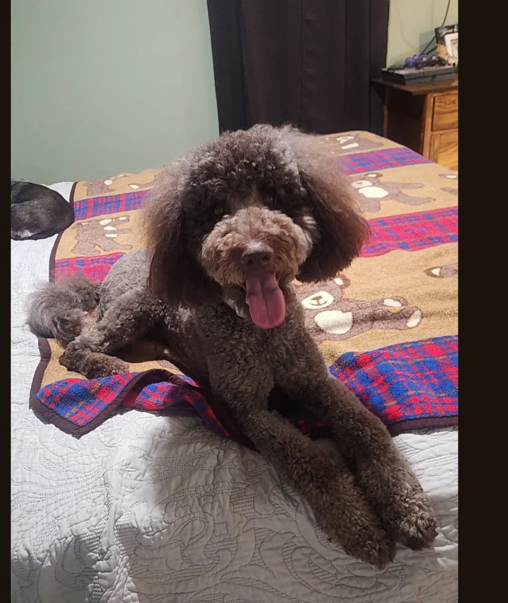 Burke - Best Boy Potential